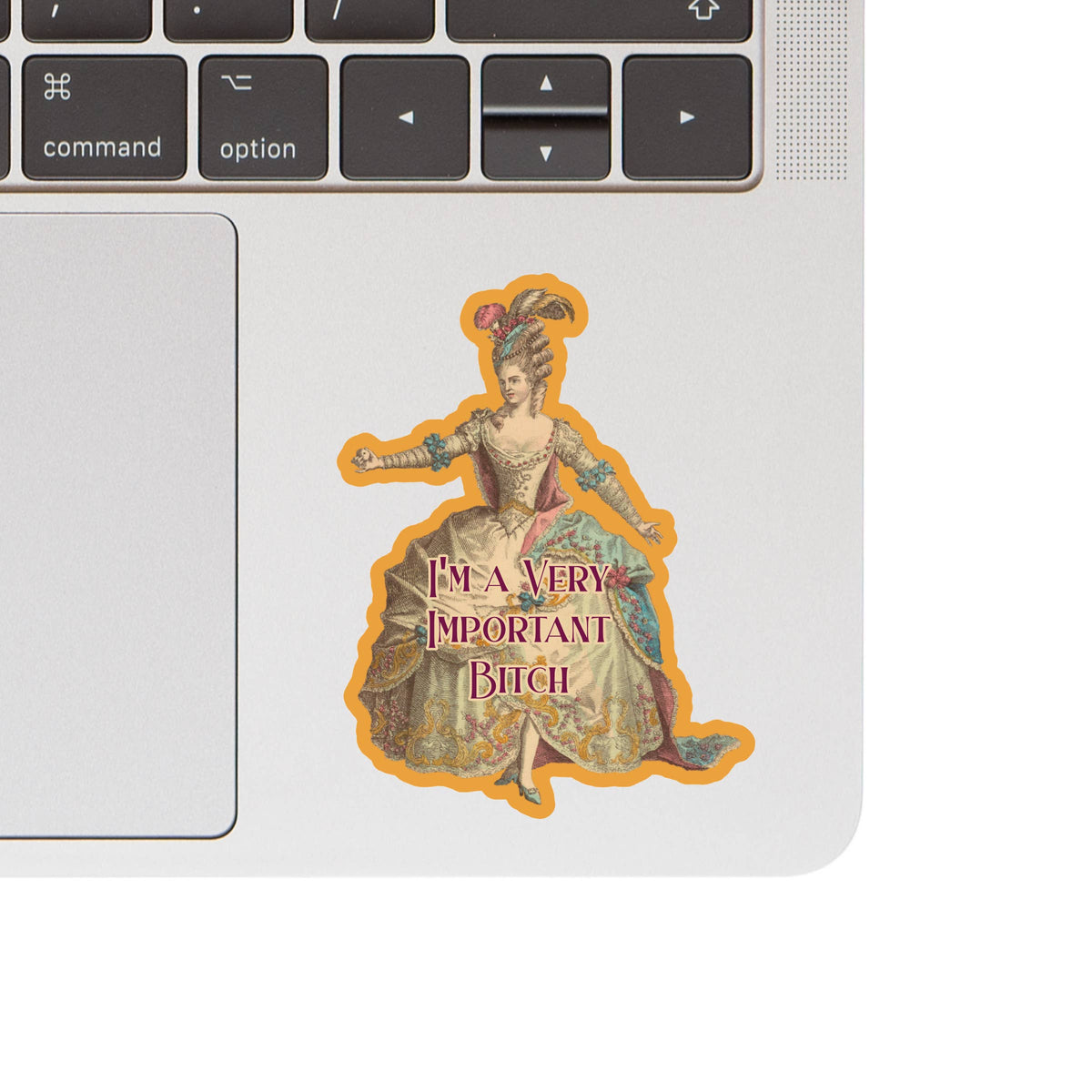 Victorian Woman Funny Swear High Quality Vinyl Sticker