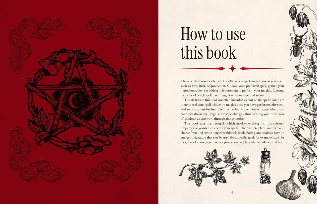 Witch's Magickal Spellbook by Priestess Moon