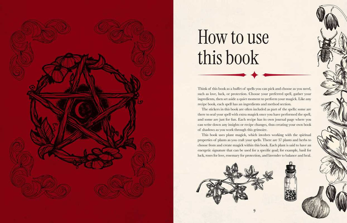 Witch's Magickal Spellbook by Priestess Moon
