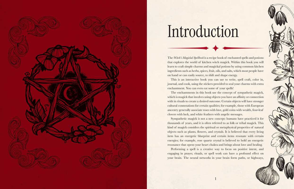 Witch's Magickal Spellbook by Priestess Moon