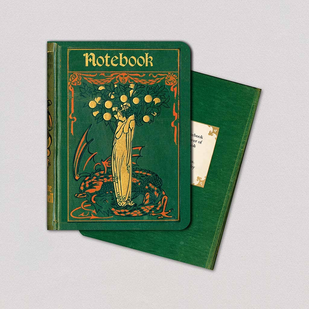 Fairy with Green Dragon - Vintage Book Cover Notebook