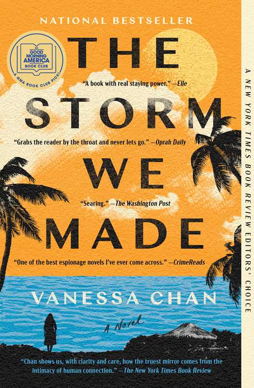 Storm We Made by Vanessa Chan