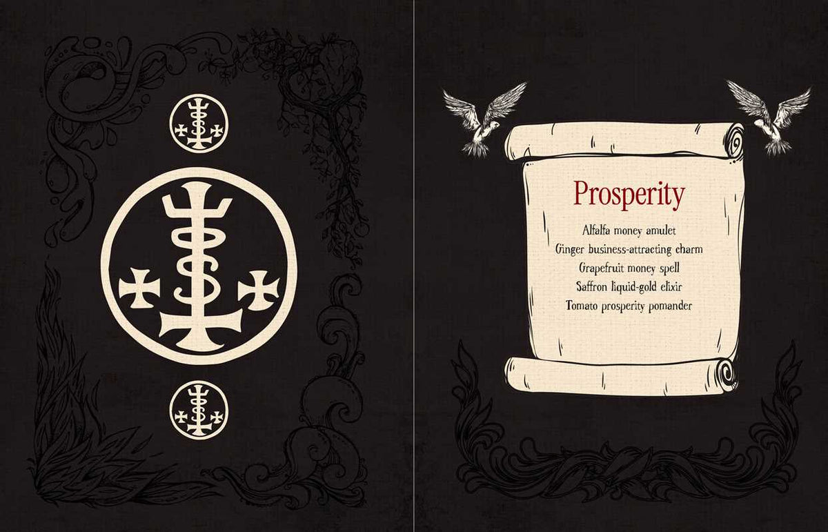 Witch's Magickal Spellbook by Priestess Moon