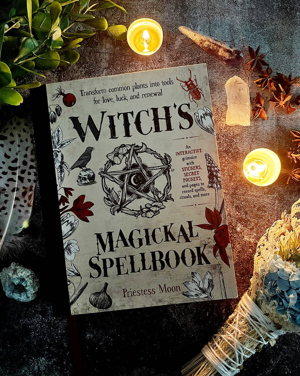 Witch's Magickal Spellbook by Priestess Moon