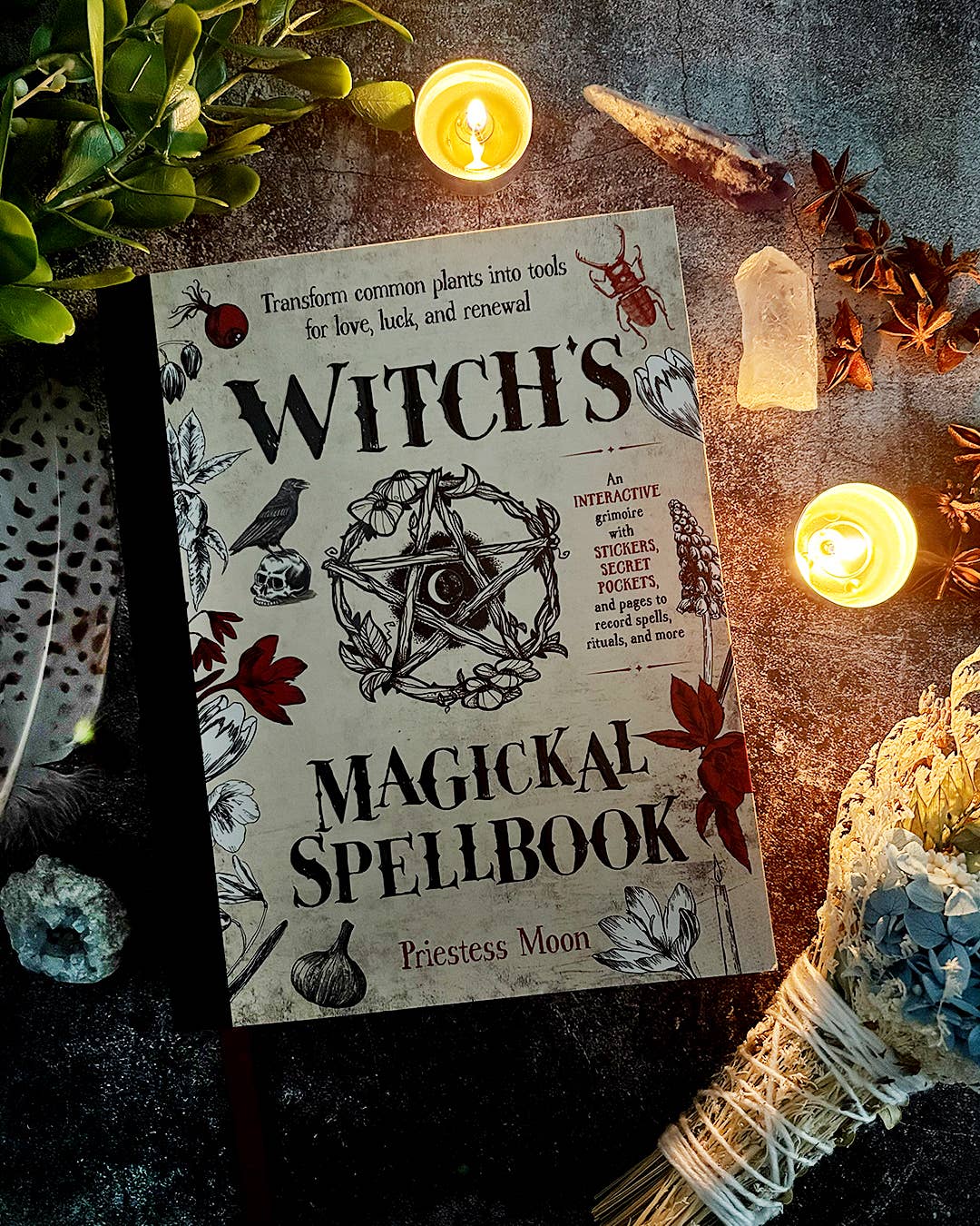 Witch's Magickal Spellbook by Priestess Moon