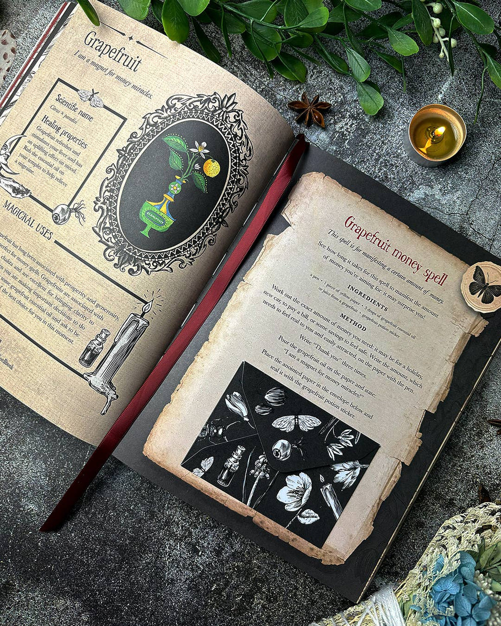 Witch's Magickal Spellbook by Priestess Moon
