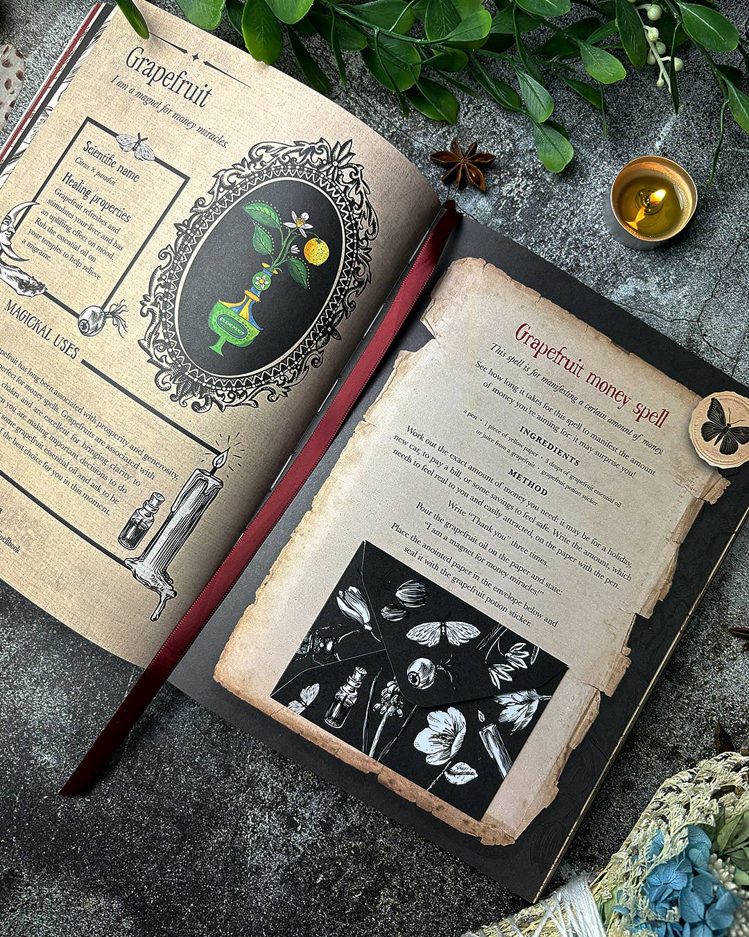 Witch's Magickal Spellbook by Priestess Moon