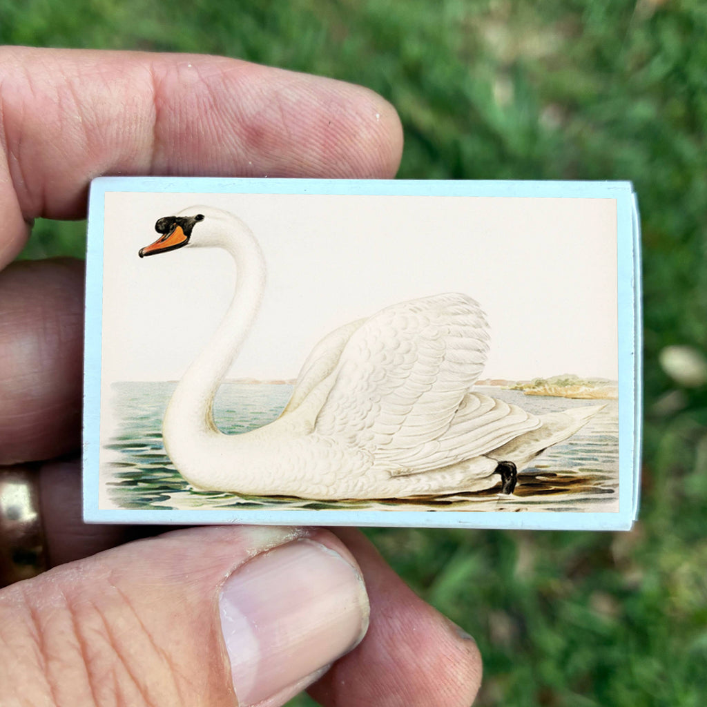 Matches • Swan Matchboxes • Home Decor for Candles & Incense